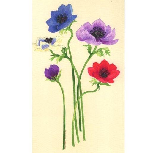 RED - DAN1 - Anemones